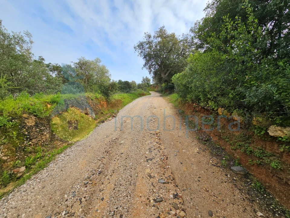 Terreno para Venda em Porches Foto 8