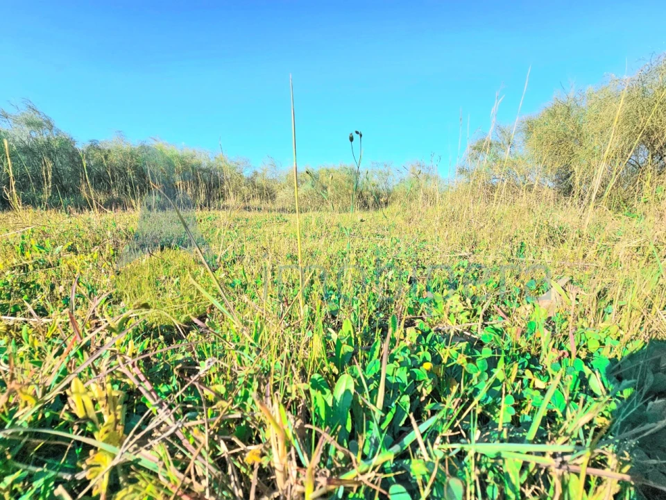Terreno para Venda em Porches Foto 2