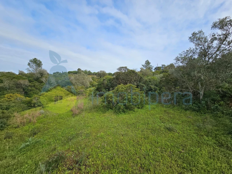 Terreno para Venda em Porches Foto 12