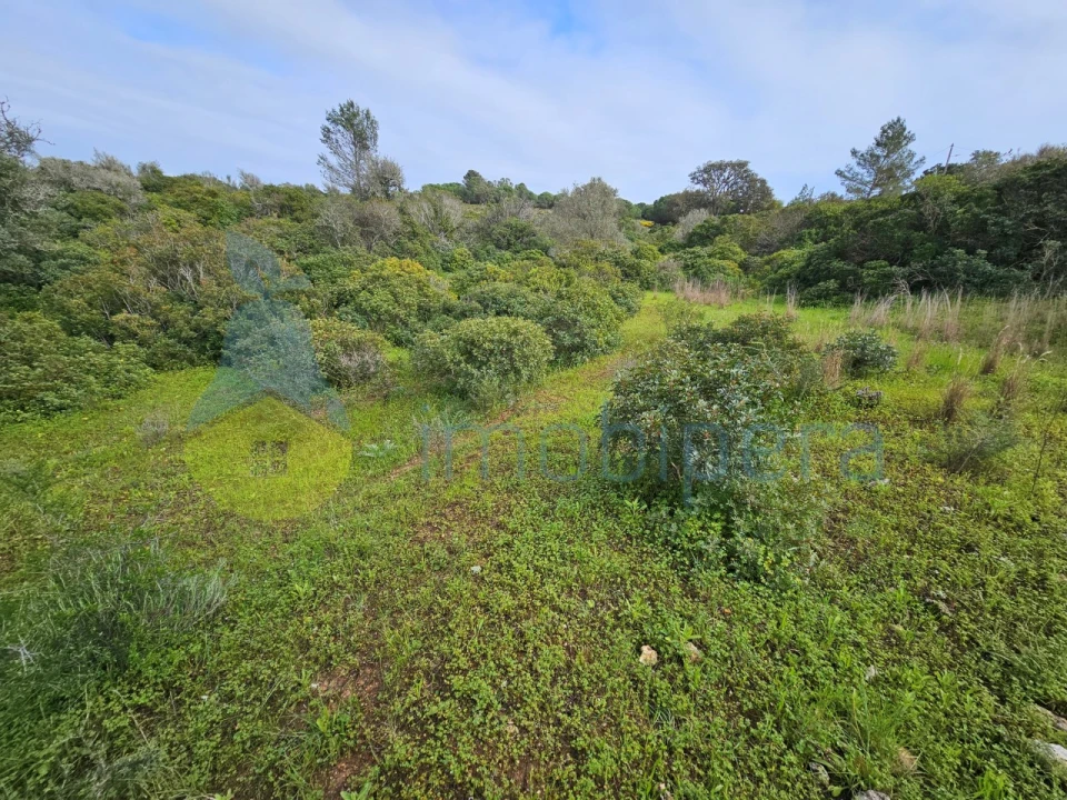 Terreno para Venda em Porches Foto 13