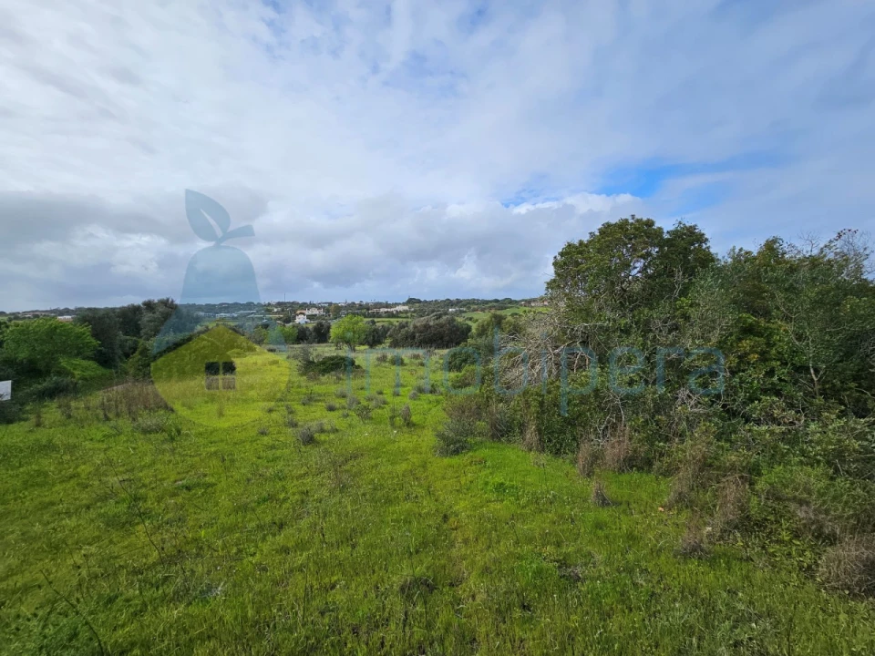 Terreno para Venda em Porches Foto 15