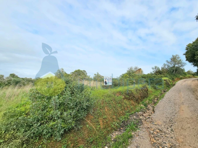 Terreno para Venda em Porches Foto 5