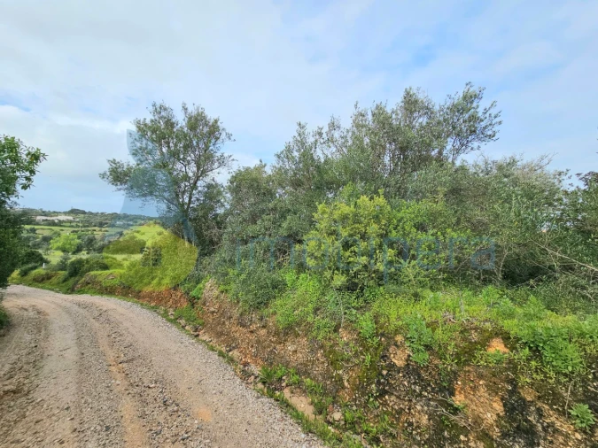 Terreno para Venda em Porches Foto 7
