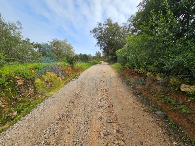 Terreno para Venda em Porches Foto 8