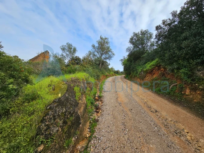 Terreno para Venda em Porches Foto 9