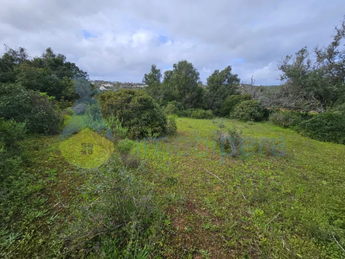Terreno para Venda em Porches Foto 10