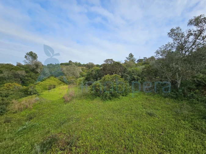 Terreno para Venda em Porches Foto 12