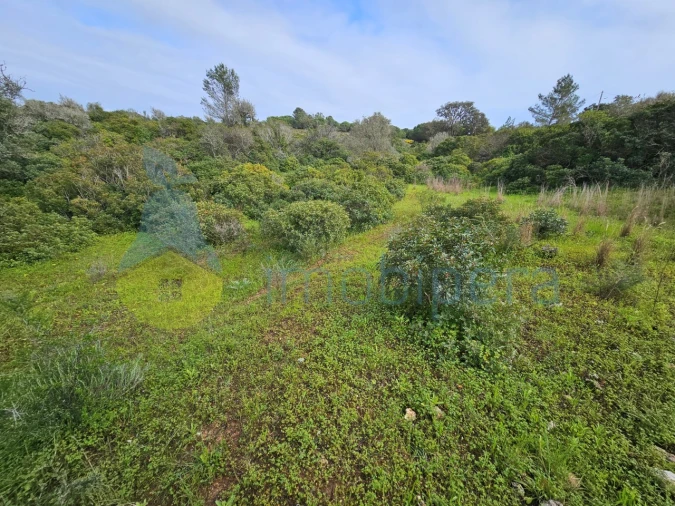 Terreno para Venda em Porches Foto 13
