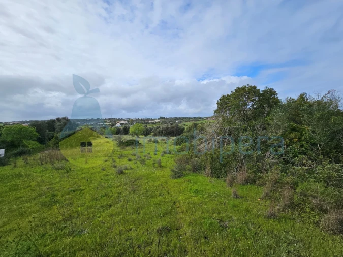 Terreno para Venda em Porches Foto 15