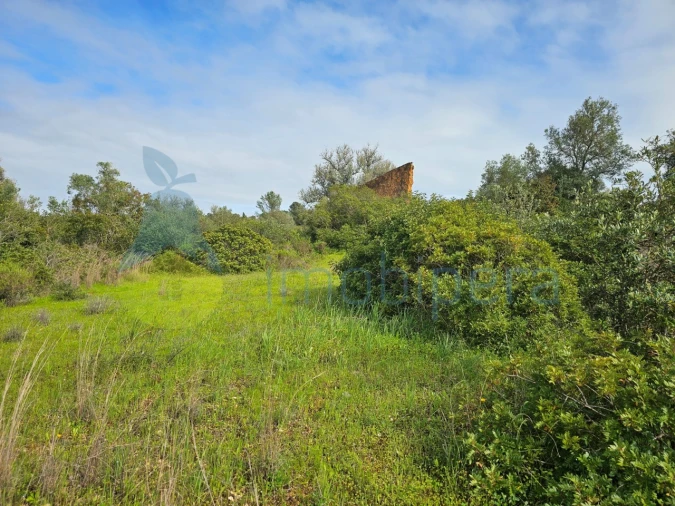 Terreno para Venda em Porches Foto 16