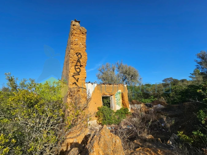 Terreno para Venda em Porches Foto 18