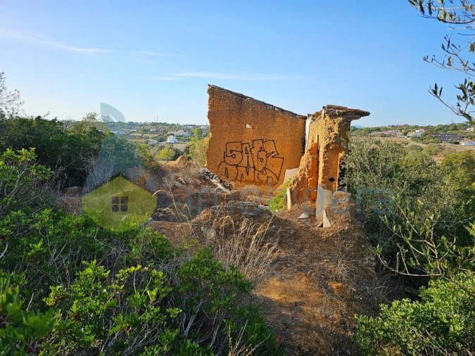 Terreno para Venda em Porches Foto 19