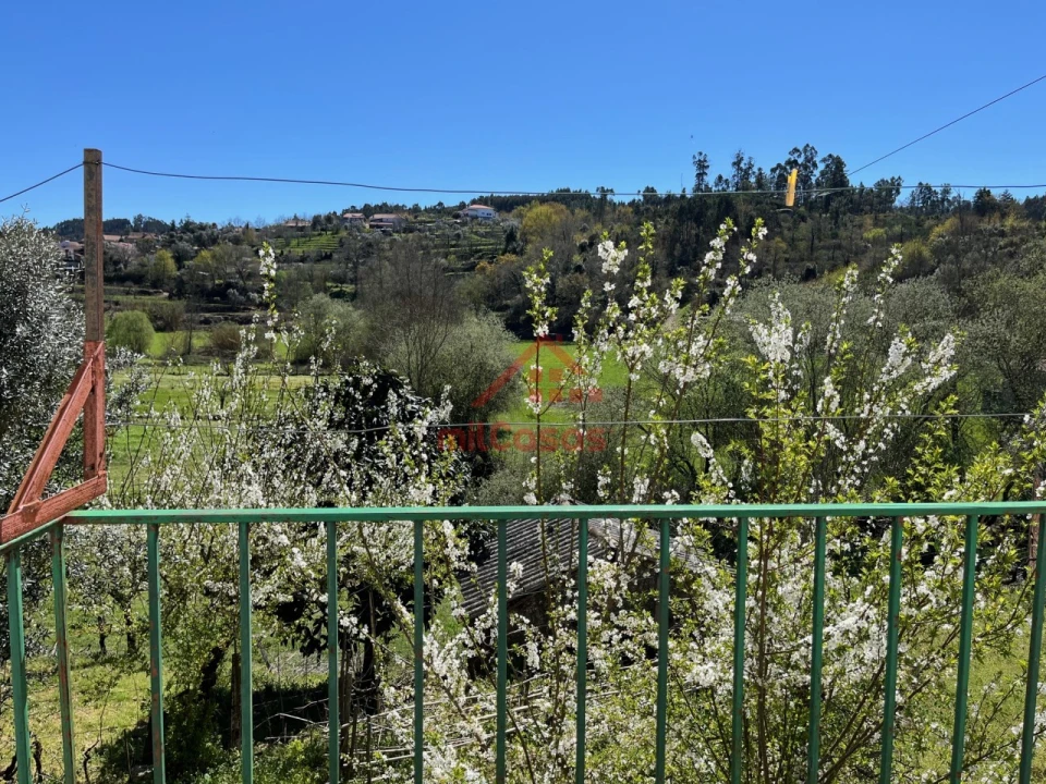 Quinta T2 para Venda em Tabua Foto 17