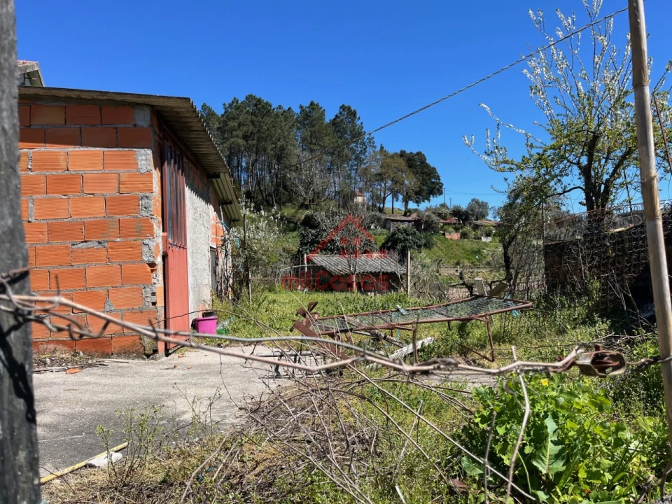 Quinta T2 para Venda em Tabua Foto 22