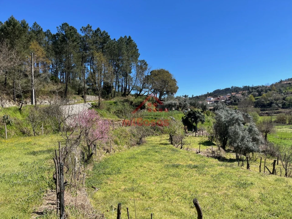 Quinta T2 para Venda em Tabua Foto 29