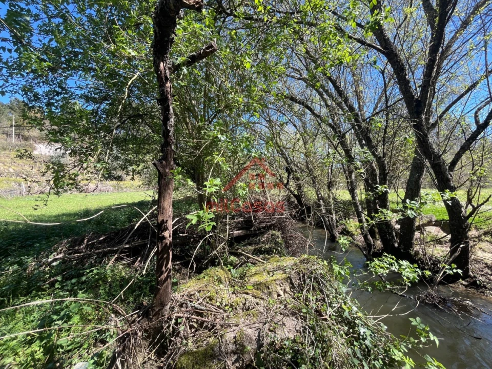 Quinta T2 para Venda em Tabua Foto 33