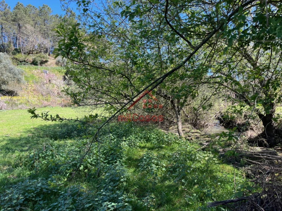 Quinta T2 para Venda em Tabua Foto 35