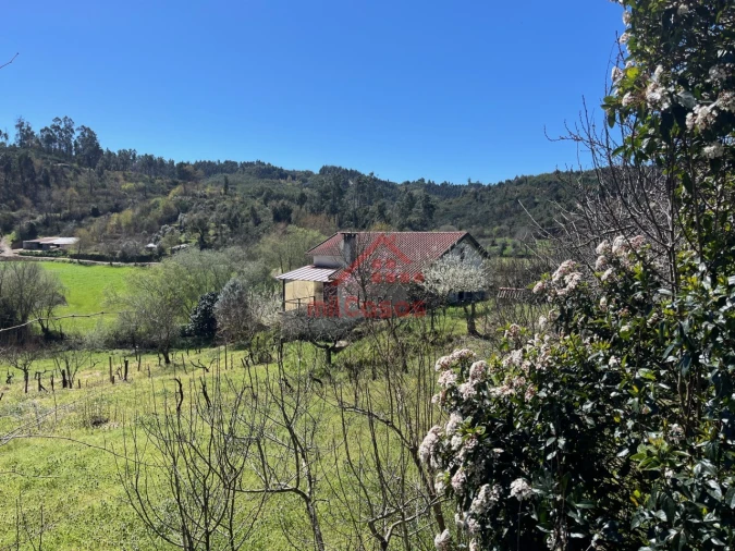 Quinta T2 para Venda em Tabua