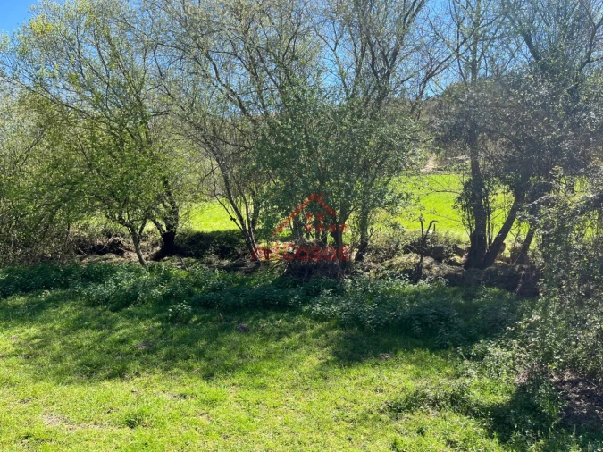 Quinta T2 para Venda em Tabua Foto 31