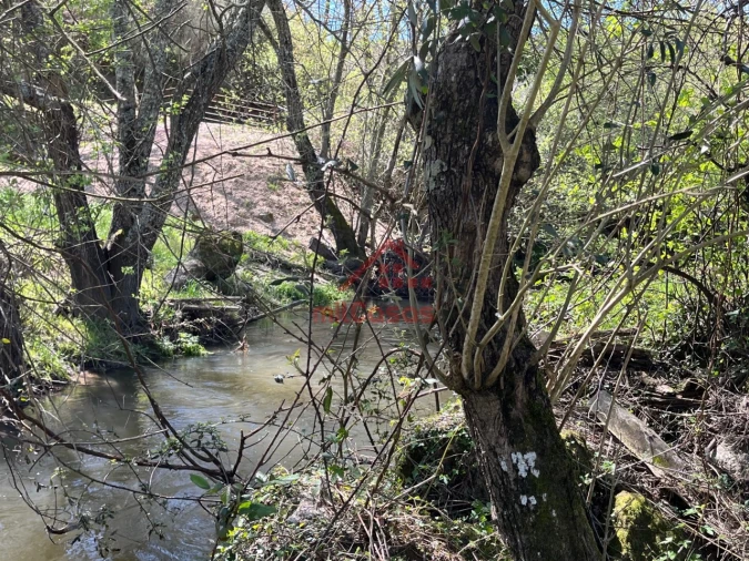 Quinta T2 para Venda em Tabua Foto 32