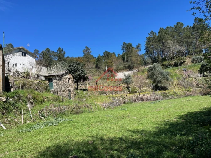 Quinta T2 para Venda em Tabua Foto 34