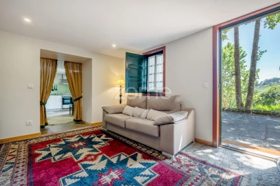 Quinta T9 para Venda em Santa Marinha do Zezere