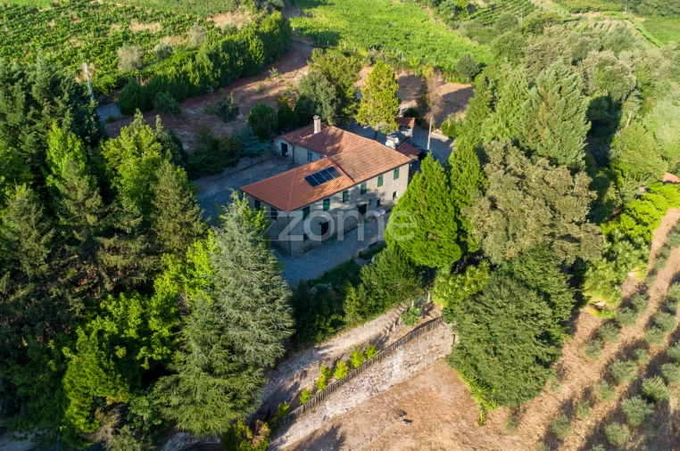 Quinta T9 para Venda em Santa Marinha do Zezere Foto 6