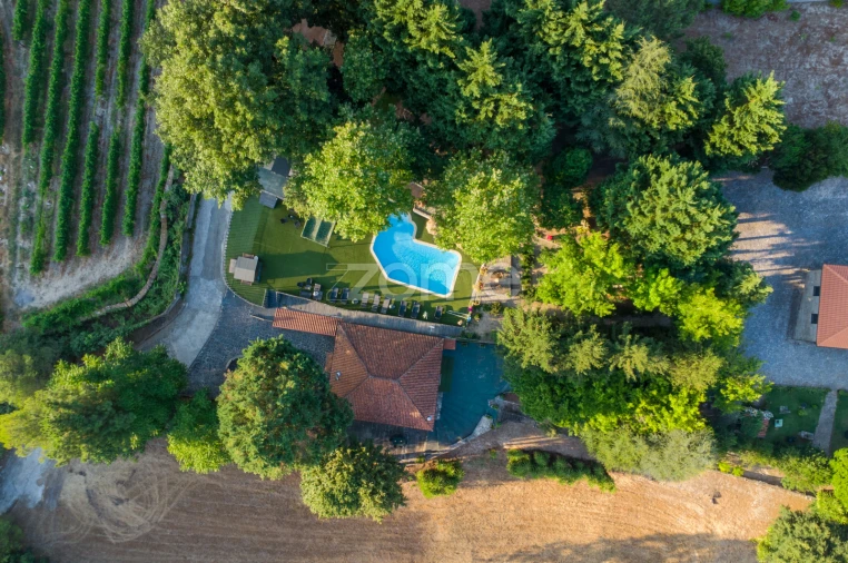 Quinta T9 para Venda em Santa Marinha do Zezere Foto 3