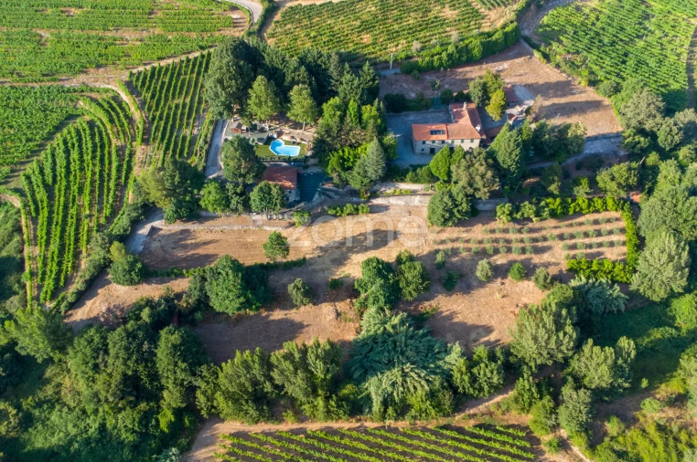 Quinta T9 para Venda em Santa Marinha do Zezere Foto 4