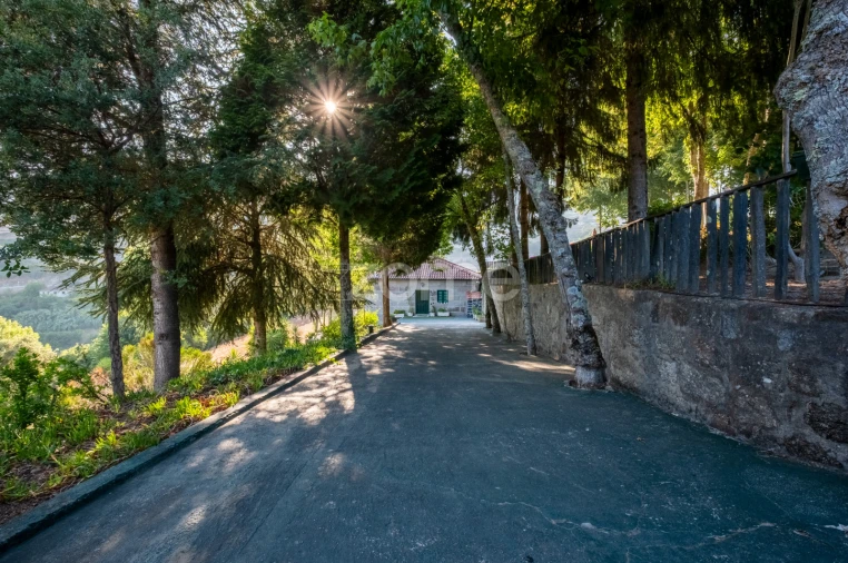 Quinta T9 para Venda em Santa Marinha do Zezere Foto 72