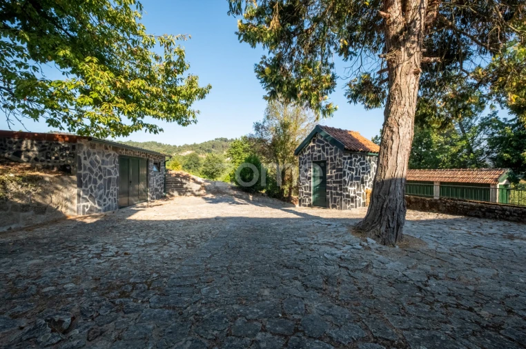 Quinta T9 para Venda em Santa Marinha do Zezere Foto 25