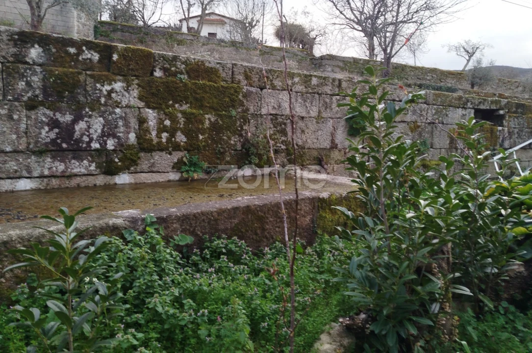 Terreno para Venda em Tavares (Chãs, Várzea e Travanca) Foto 7