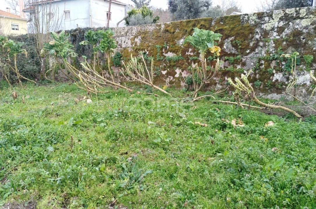 Terreno para Venda em Tavares (Chãs, Várzea e Travanca) Foto 12