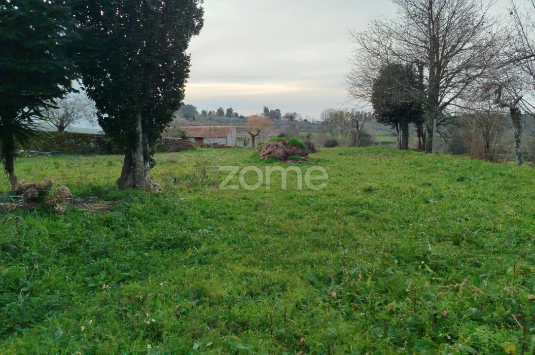 Terreno para Venda em Tavares (Chãs, Várzea e Travanca) Foto 1