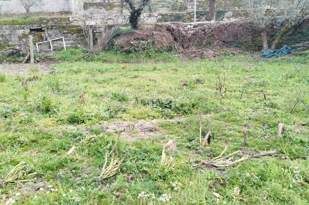 Terreno para Venda em Tavares (Chãs, Várzea e Travanca) Foto 5