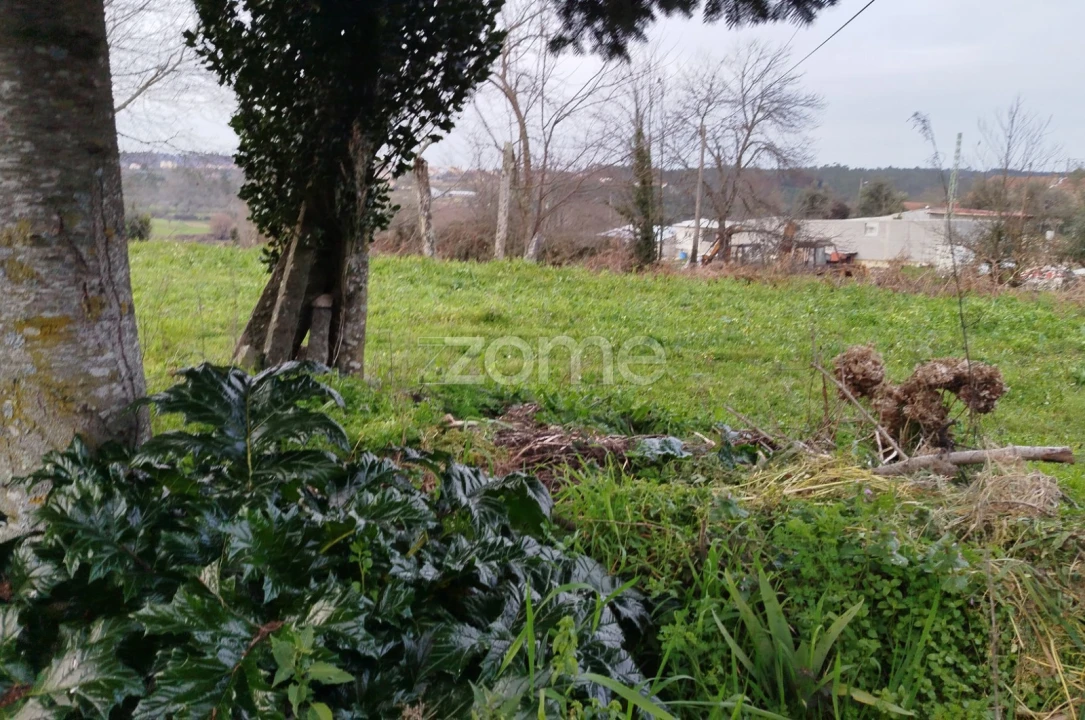 Terreno para Venda em Tavares (Chãs, Várzea e Travanca) Foto 11