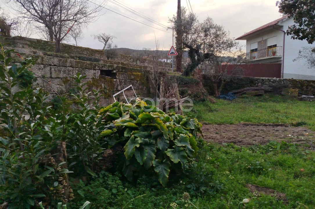 Terreno para Venda em Tavares (Chãs, Várzea e Travanca) Foto 15
