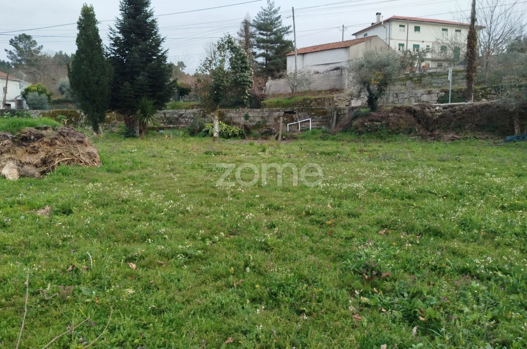Terreno para Venda em Tavares (Chãs, Várzea e Travanca) Foto 21