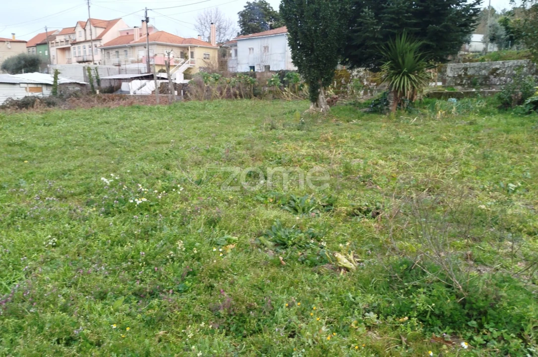 Terreno para Venda em Tavares (Chãs, Várzea e Travanca) Foto 14