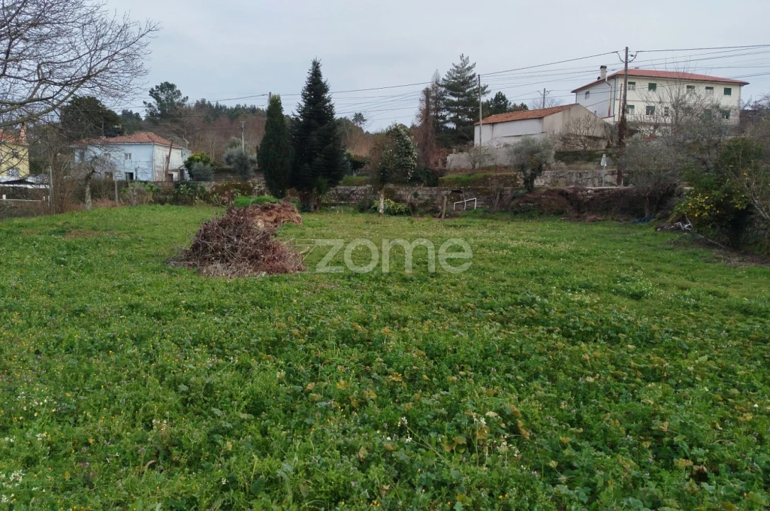 Terreno para Venda em Tavares (Chãs, Várzea e Travanca) Foto 3