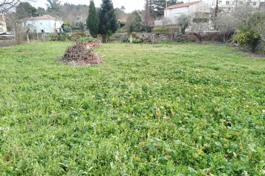 Terreno para Venda em Tavares (Chãs, Várzea e Travanca) Foto 6