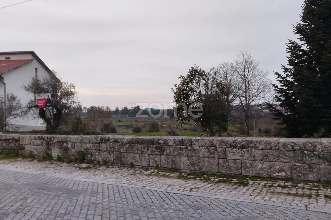 Terreno para Venda em Tavares (Chãs, Várzea e Travanca) Foto 8