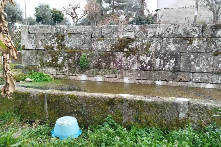 Terreno para Venda em Tavares (Chãs, Várzea e Travanca) Foto 5