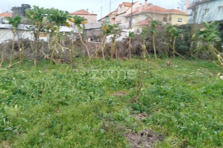Terreno para Venda em Tavares (Chãs, Várzea e Travanca) Foto 10