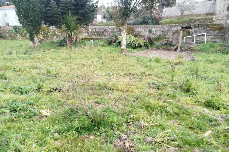 Terreno para Venda em Tavares (Chãs, Várzea e Travanca) Foto 11