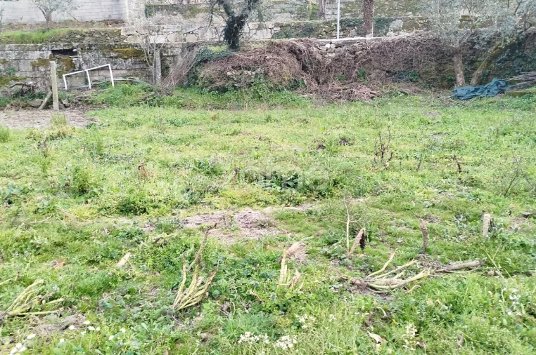 Terreno para Venda em Tavares (Chãs, Várzea e Travanca) Foto 6