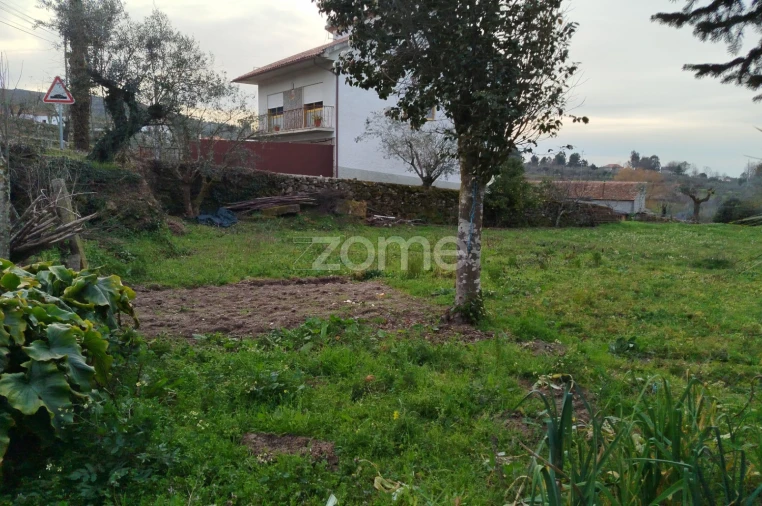 Terreno para Venda em Tavares (Chãs, Várzea e Travanca) Foto 14
