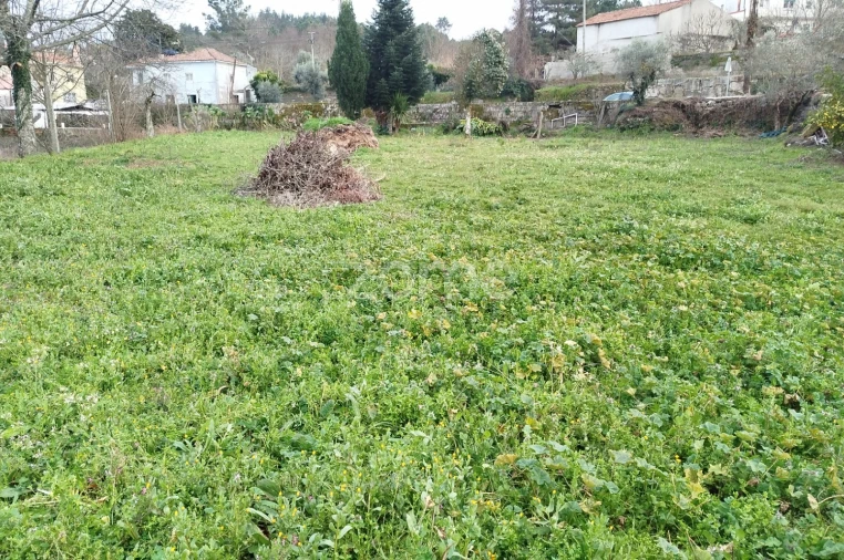 Terreno para Venda em Tavares (Chãs, Várzea e Travanca) Foto 1