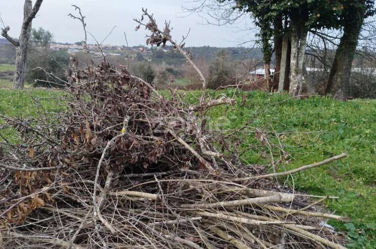 Terreno para Venda em Tavares (Chãs, Várzea e Travanca) Foto 17