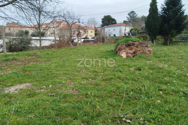 Terreno para Venda em Tavares (Chãs, Várzea e Travanca) Foto 19